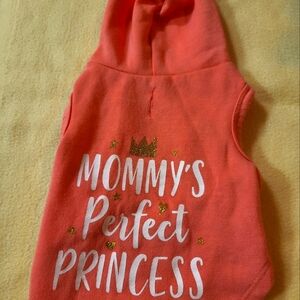 Vibrant Pink XS Pet Hoodie, By Vibrant Life